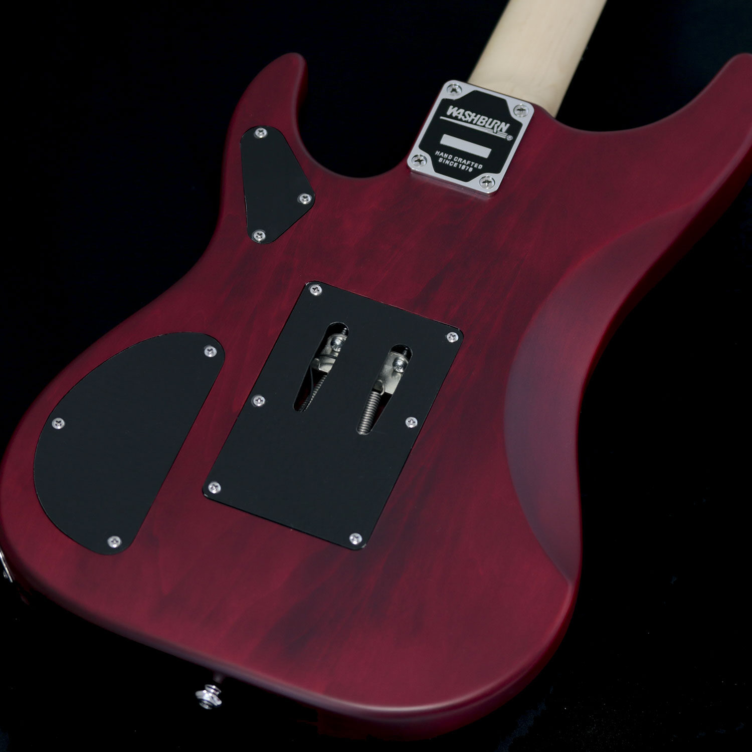 N2PADAUK_3